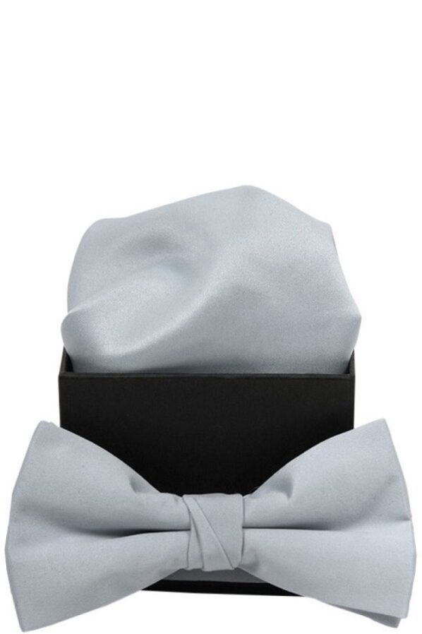 Connexion Tie Butterfly